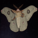 TheAbyssalMoth