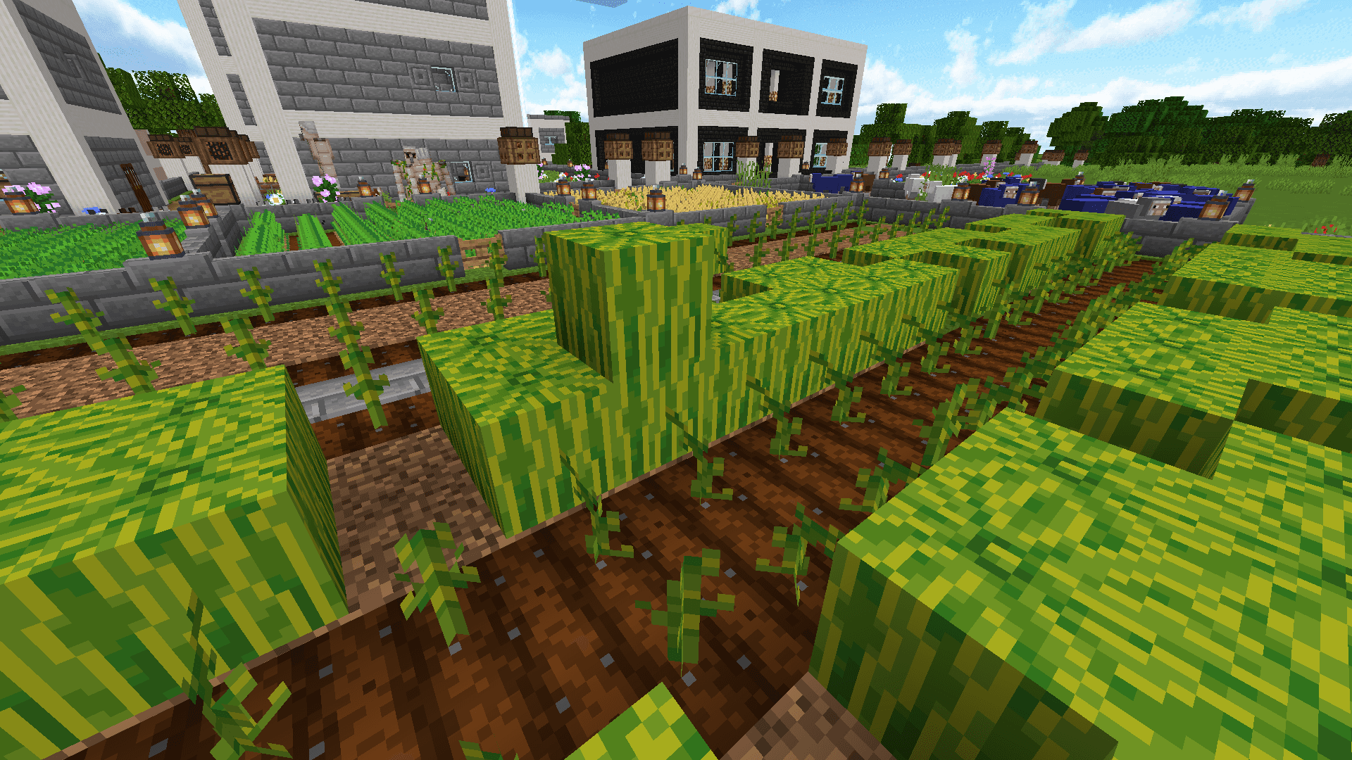 Weekly Competition 6: Spring Harvest — Melons Gathered 🍉🌱